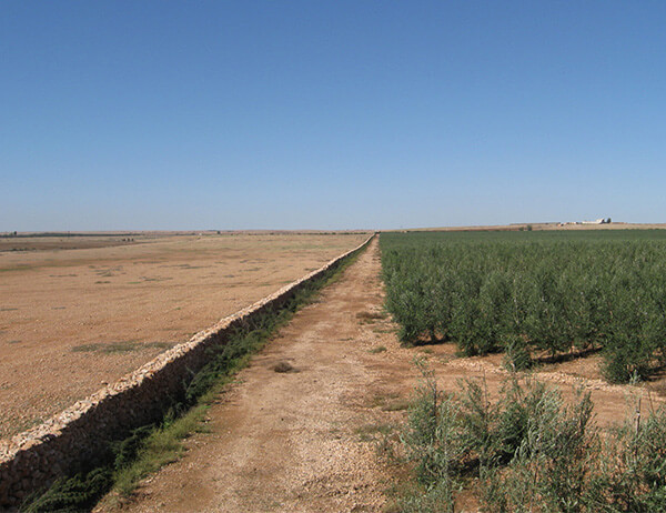 Moroccan desert